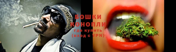 мдпв Богданович