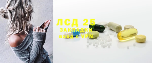 мдпв Богданович