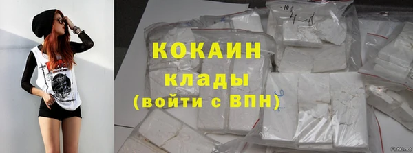 таблы Богородицк
