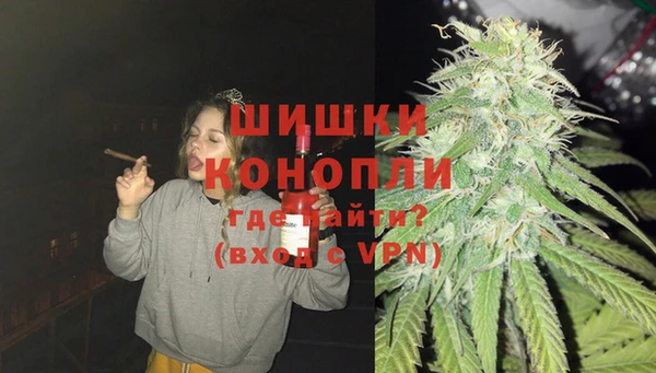 мдпв Богданович