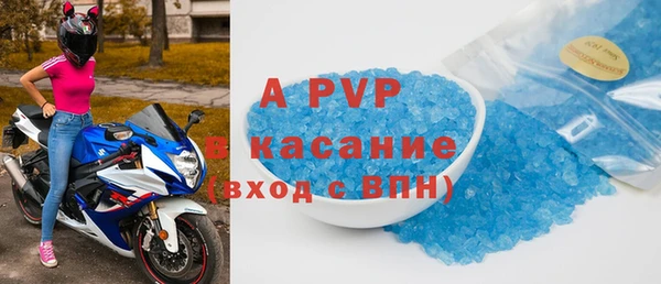 мдпв Богданович