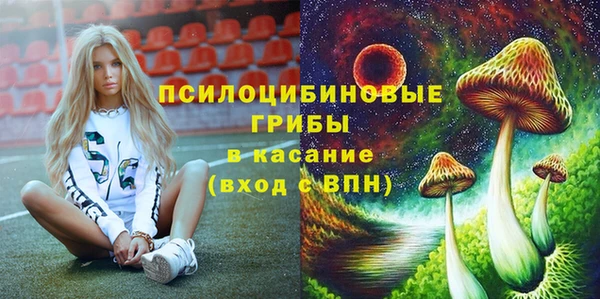 таблы Богородицк