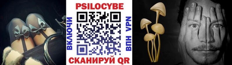 Галлюциногенные грибы Psilocybe  как найти закладки  Динская 